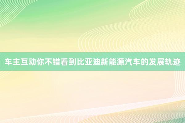 车主互动你不错看到比亚迪新能源汽车的发展轨迹