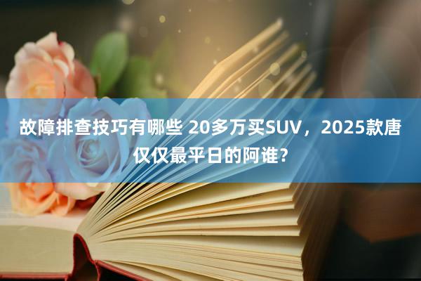 故障排查技巧有哪些 20多万买SUV，2025款唐仅仅最平日的阿谁？