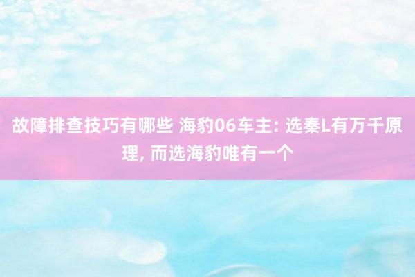 故障排查技巧有哪些 海豹06车主: 选秦L有万千原理, 而选海豹唯有一个