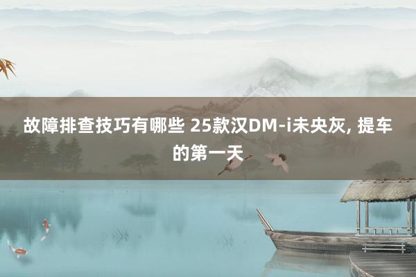 故障排查技巧有哪些 25款汉DM-i未央灰, 提车的第一天