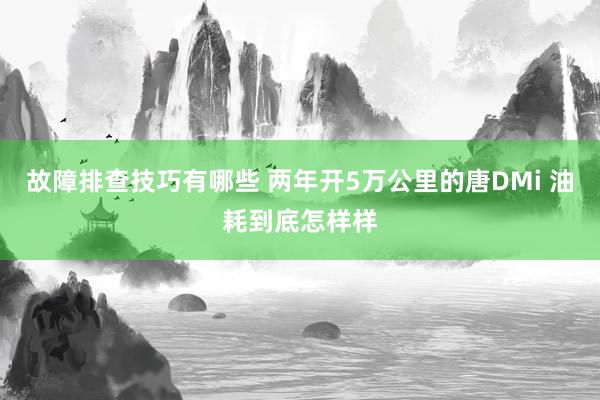 故障排查技巧有哪些 两年开5万公里的唐DMi 油耗到底怎样样