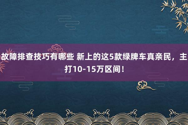 故障排查技巧有哪些 新上的这5款绿牌车真亲民，主打10-15万区间！