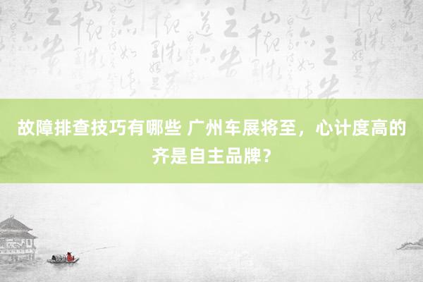 故障排查技巧有哪些 广州车展将至，心计度高的齐是自主品牌？