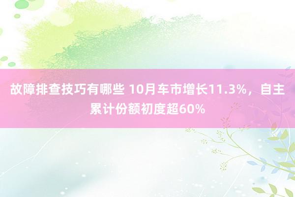 故障排查技巧有哪些 10月车市增长11.3%，自主累计份额初度超60%