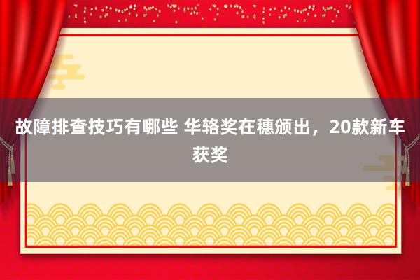 故障排查技巧有哪些 华辂奖在穗颁出，20款新车获奖