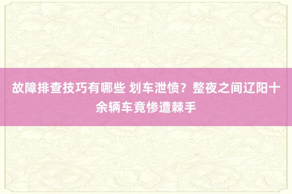 故障排查技巧有哪些 划车泄愤？整夜之间辽阳十余辆车竟惨遭棘手