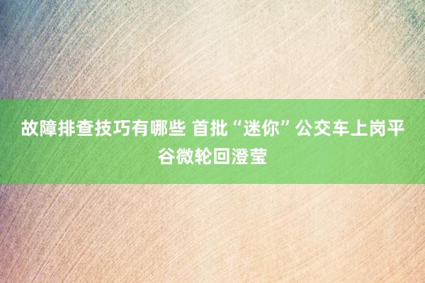 故障排查技巧有哪些 首批“迷你”公交车上岗平谷微轮回澄莹