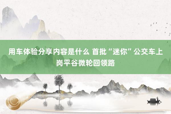 用车体验分享内容是什么 首批“迷你”公交车上岗平谷微轮回领路