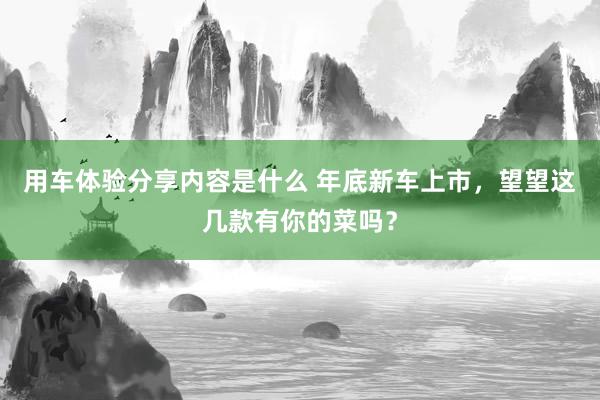 用车体验分享内容是什么 年底新车上市，望望这几款有你的菜吗？