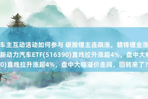 车主互动活动如何参与 碳酸锂主连飙涨，赣锋锂业涨停、宁德期间涨3%，新动力汽车ETF(516390)直线拉升涨超4%，盘中大幅溢价走阔，回转来了？