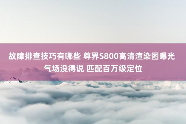 故障排查技巧有哪些 尊界S800高清渲染图曝光 气场没得说 匹配百万级定位