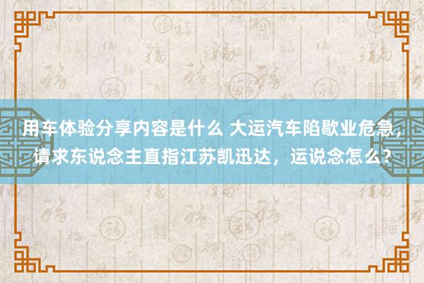 用车体验分享内容是什么 大运汽车陷歇业危急，请求东说念主直指江苏凯迅达，运说念怎么？