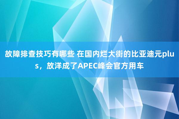 故障排查技巧有哪些 在国内烂大街的比亚迪元plus，放洋成了APEC峰会官方用车