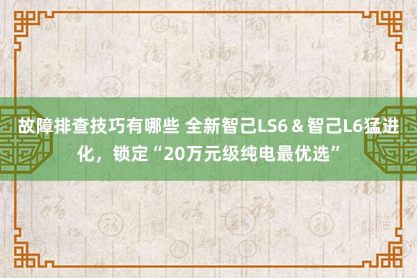 故障排查技巧有哪些 全新智己LS6＆智己L6猛进化，锁定“20万元级纯电最优选”