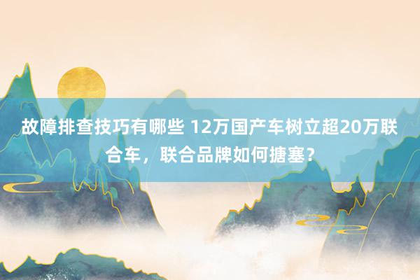 故障排查技巧有哪些 12万国产车树立超20万联合车，联合品牌如何搪塞？