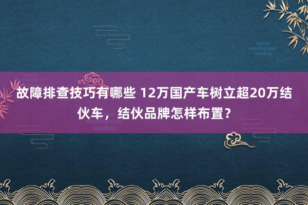 故障排查技巧有哪些 12万国产车树立超20万结伙车，结伙品牌怎样布置？