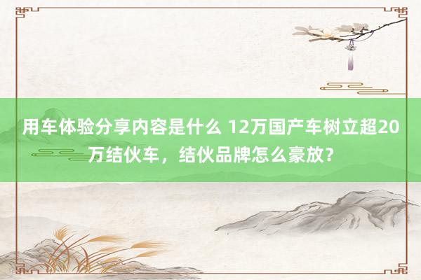 用车体验分享内容是什么 12万国产车树立超20万结伙车，结伙品牌怎么豪放？