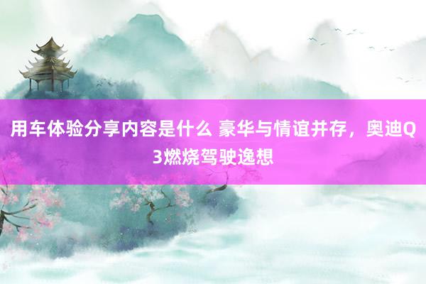 用车体验分享内容是什么 豪华与情谊并存，奥迪Q3燃烧驾驶逸想