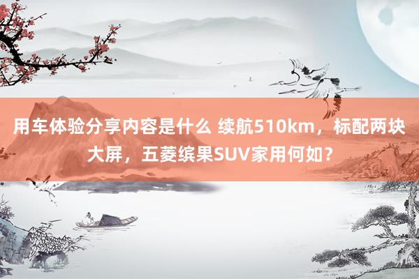 用车体验分享内容是什么 续航510km，标配两块大屏，五菱缤果SUV家用何如？