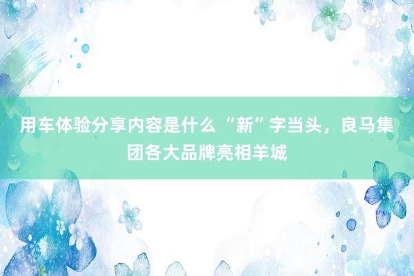 用车体验分享内容是什么 “新”字当头，良马集团各大品牌亮相羊城