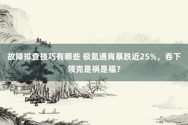 故障排查技巧有哪些 极氪通宵暴跌近25%，吞下领克是祸是福？