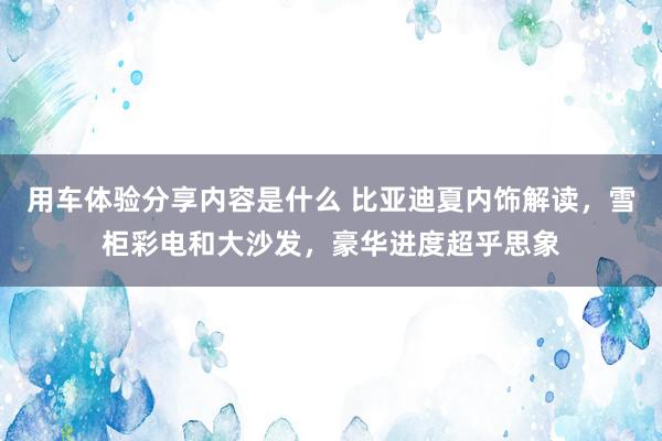 用车体验分享内容是什么 比亚迪夏内饰解读，雪柜彩电和大沙发，豪华进度超乎思象