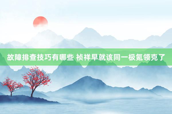 故障排查技巧有哪些 祯祥早就该同一极氪领克了