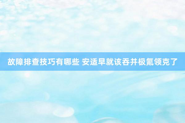 故障排查技巧有哪些 安适早就该吞并极氪领克了