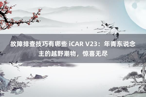 故障排查技巧有哪些 iCAR V23：年青东说念主的越野潮物，惊喜无尽