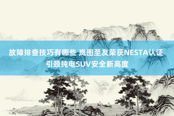 故障排查技巧有哪些 岚图至友荣获NESTA认证 引颈纯电SUV安全新高度