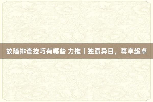 故障排查技巧有哪些 力推丨独霸异日，尊享超卓