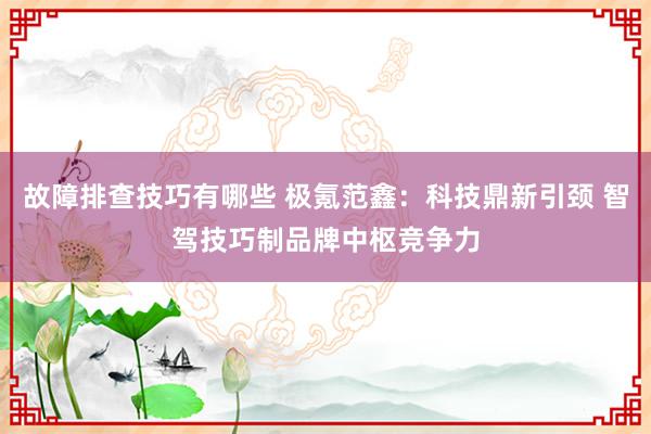 故障排查技巧有哪些 极氪范鑫：科技鼎新引颈 智驾技巧制品牌中枢竞争力