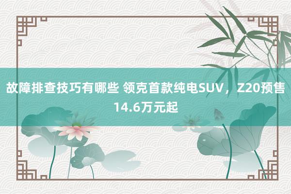 故障排查技巧有哪些 领克首款纯电SUV，Z20预售14.6万元起