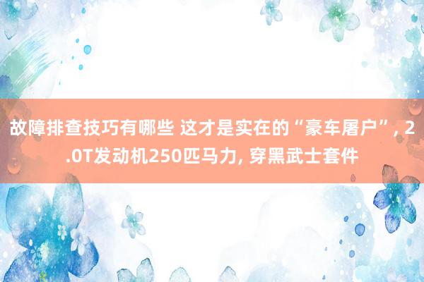 故障排查技巧有哪些 这才是实在的“豪车屠户”, 2.0T发动机250匹马力, 穿黑武士套件