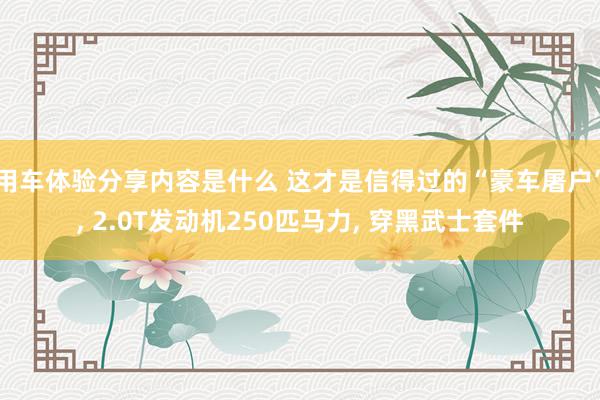 用车体验分享内容是什么 这才是信得过的“豪车屠户”, 2.0T发动机250匹马力, 穿黑武士套件