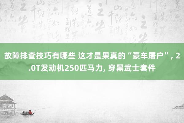 故障排查技巧有哪些 这才是果真的“豪车屠户”, 2.0T发动机250匹马力, 穿黑武士套件