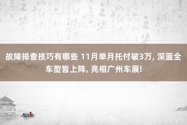 故障排查技巧有哪些 11月单月托付破3万, 深蓝全车型皆上阵, 亮相广州车展!