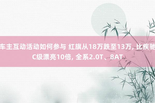 车主互动活动如何参与 红旗从18万跌至13万, 比疾驰C级漂亮10倍, 全系2.0T、8AT