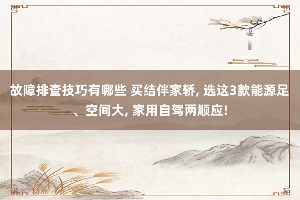 故障排查技巧有哪些 买结伴家轿, 选这3款能源足、空间大, 家用自驾两顺应!