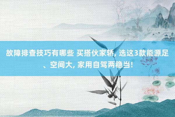 故障排查技巧有哪些 买搭伙家轿, 选这3款能源足、空间大, 家用自驾两稳当!