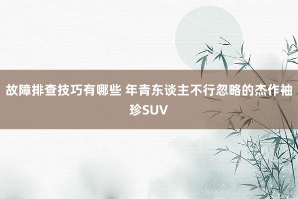 故障排查技巧有哪些 年青东谈主不行忽略的杰作袖珍SUV