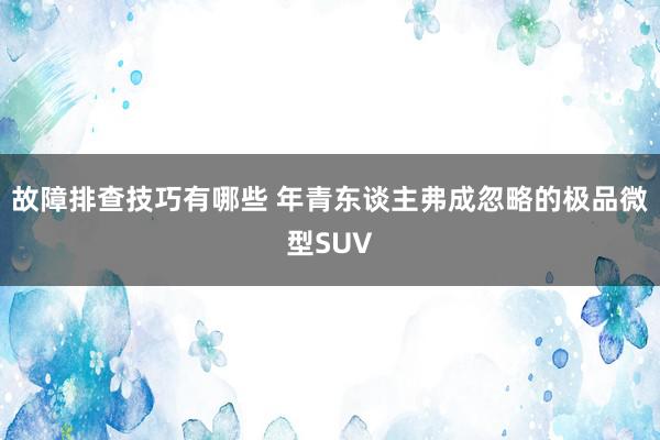 故障排查技巧有哪些 年青东谈主弗成忽略的极品微型SUV