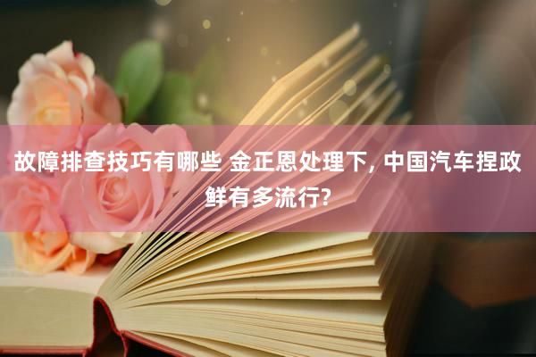 故障排查技巧有哪些 金正恩处理下, 中国汽车捏政鲜有多流行?