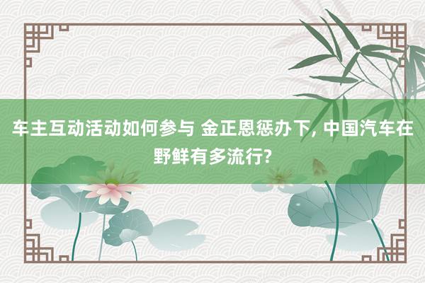 车主互动活动如何参与 金正恩惩办下, 中国汽车在野鲜有多流行?