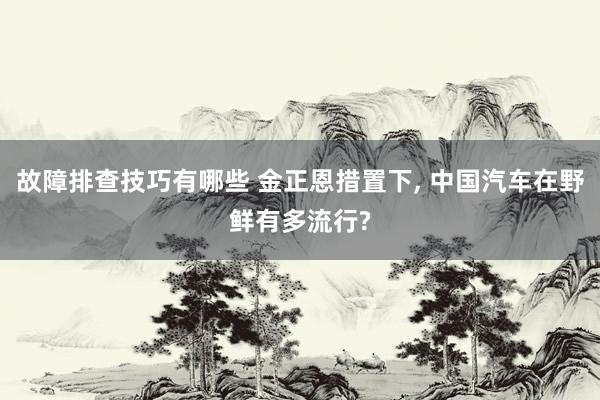 故障排查技巧有哪些 金正恩措置下, 中国汽车在野鲜有多流行?