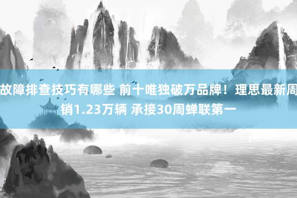 故障排查技巧有哪些 前十唯独破万品牌！理思最新周销1.23万辆 承接30周蝉联第一