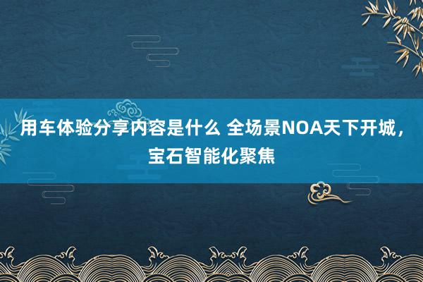 用车体验分享内容是什么 全场景NOA天下开城，宝石智能化聚焦