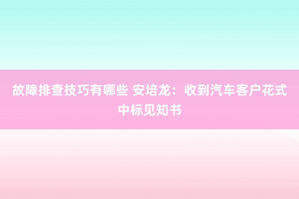 故障排查技巧有哪些 安培龙：收到汽车客户花式中标见知书