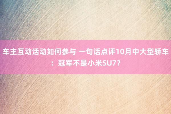 车主互动活动如何参与 一句话点评10月中大型轿车：冠军不是小米SU7？