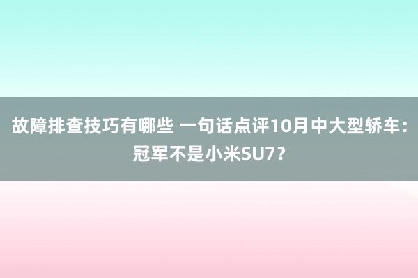 故障排查技巧有哪些 一句话点评10月中大型轿车：冠军不是小米SU7？